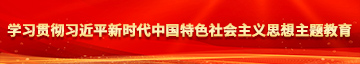 男生摸女生的视频久草学习贯彻习近平新时代中国特色社会主义思想主题教育